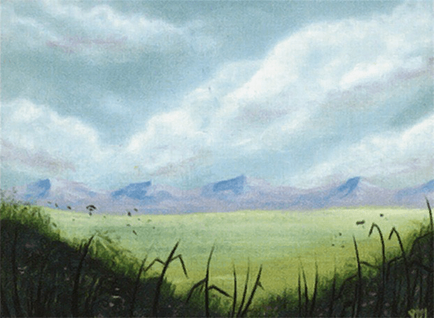 The Essentials: White