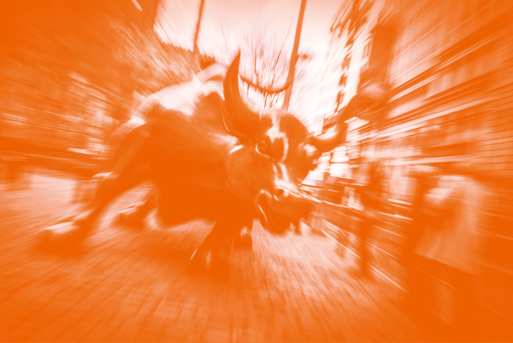 Bulls do have more fun! – Day&nbsp;2